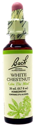 Bach Wild Oat 0.7Oz