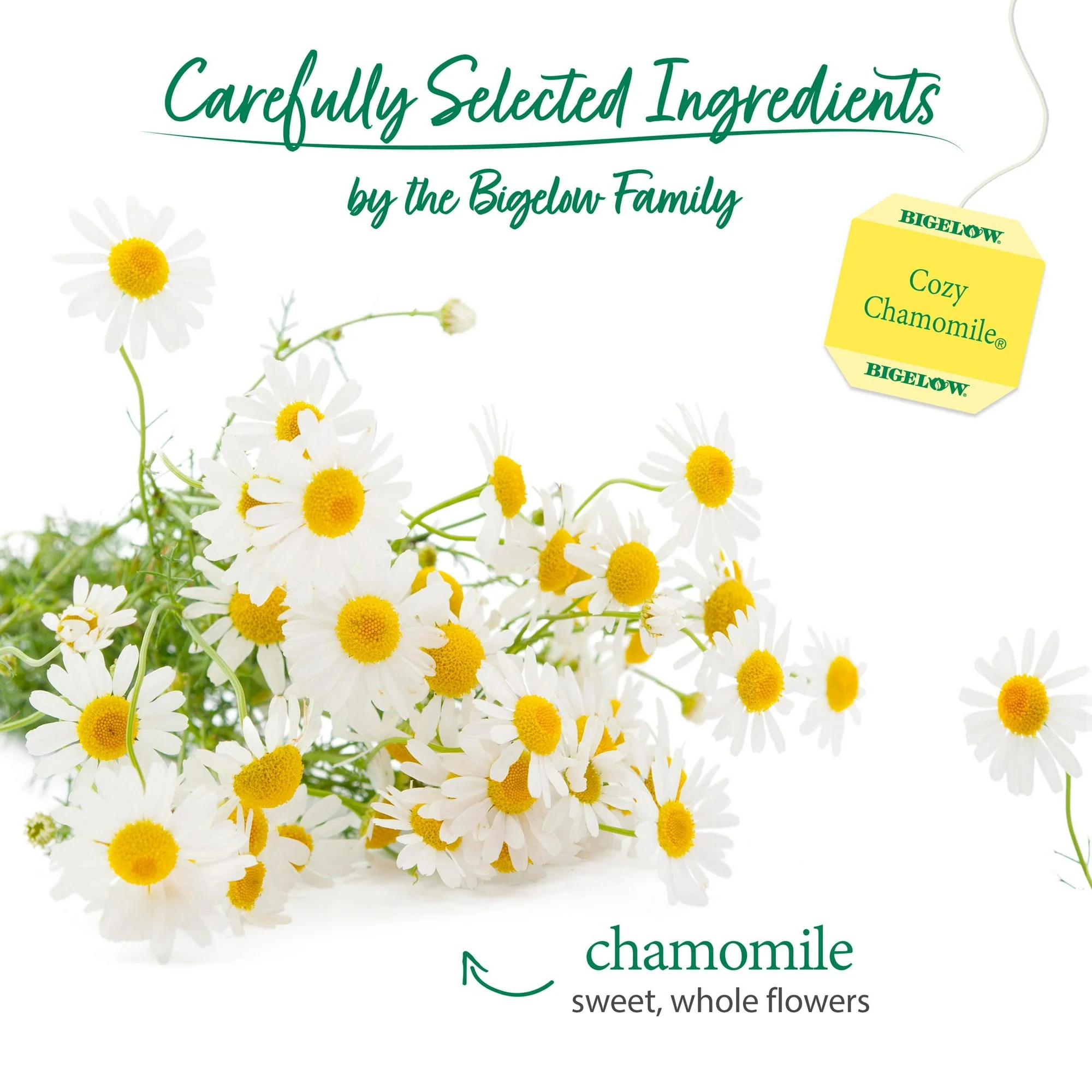 Bigelow Cozy Chamomile Herbal Tea Bags 20ct - Image 2
