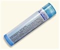 Boiron Oenanthe Crocata 30C Homeopathic Medicine for Cough Sore Throat. 80 Pellets