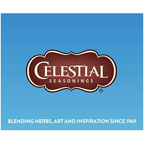 Celestial Seasonings Cold Brew Unsweetened Black Tea, 18 Tea Bags, 1.2 Oz - Image 5
