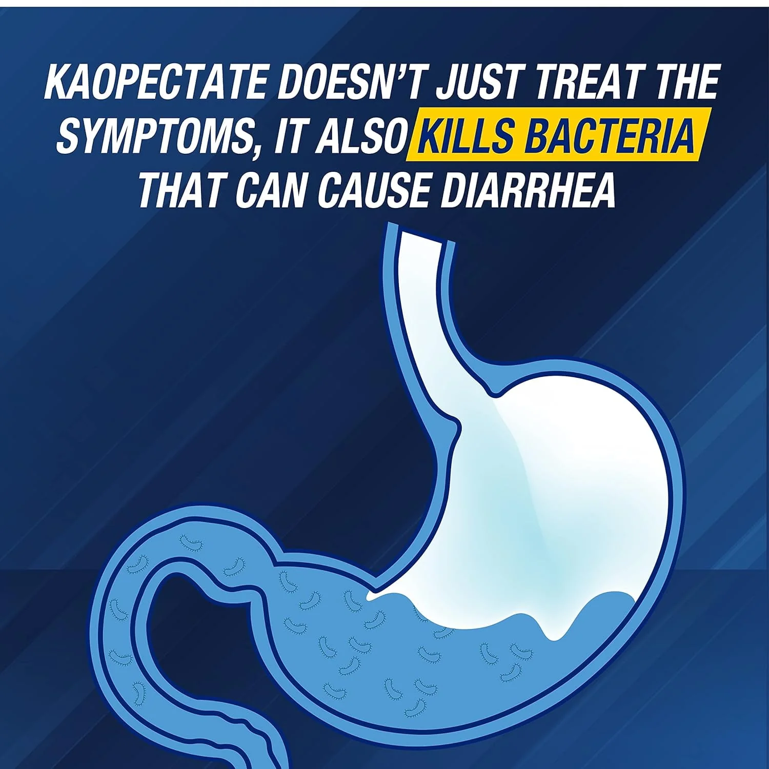 Kaopectate Anti-Diarrheal Sensitive Stomach Relief Peppermint 11oz - Image 2