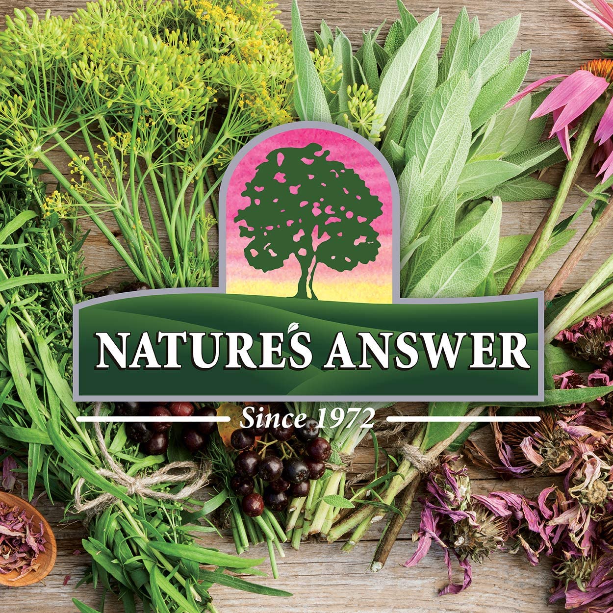 NATURES ANSWER MILK THISTLE SEED 2 Oz - Image 3