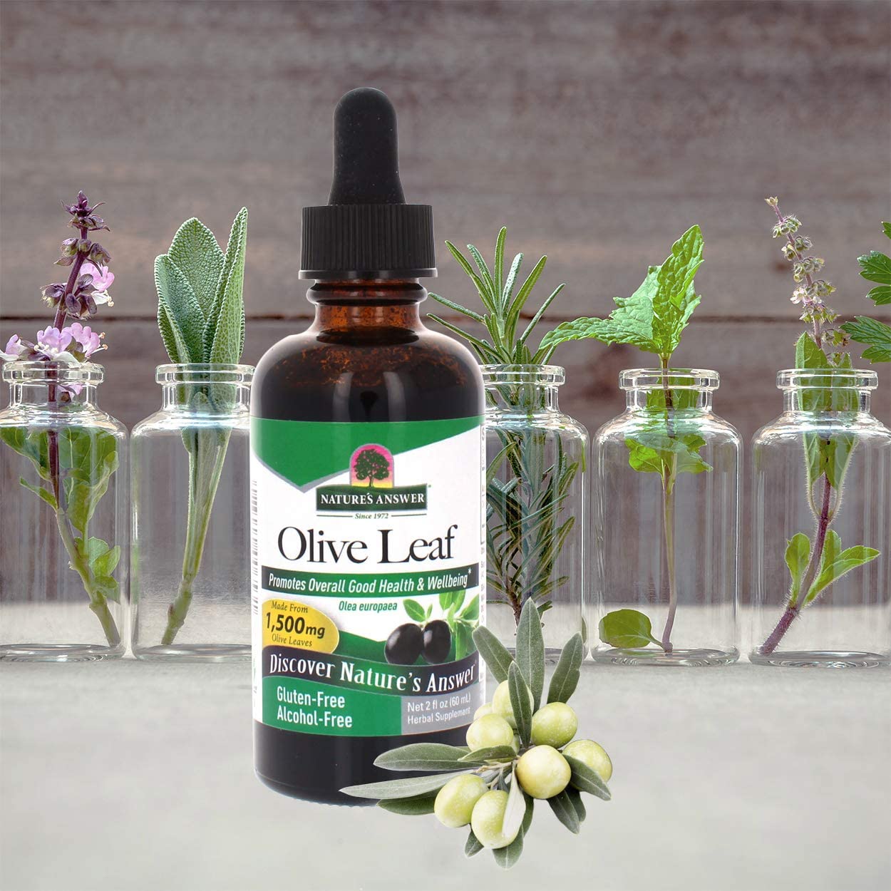 NATURES ANSWER OLIVE LEAF EXTRACT 2 Oz - Image 2