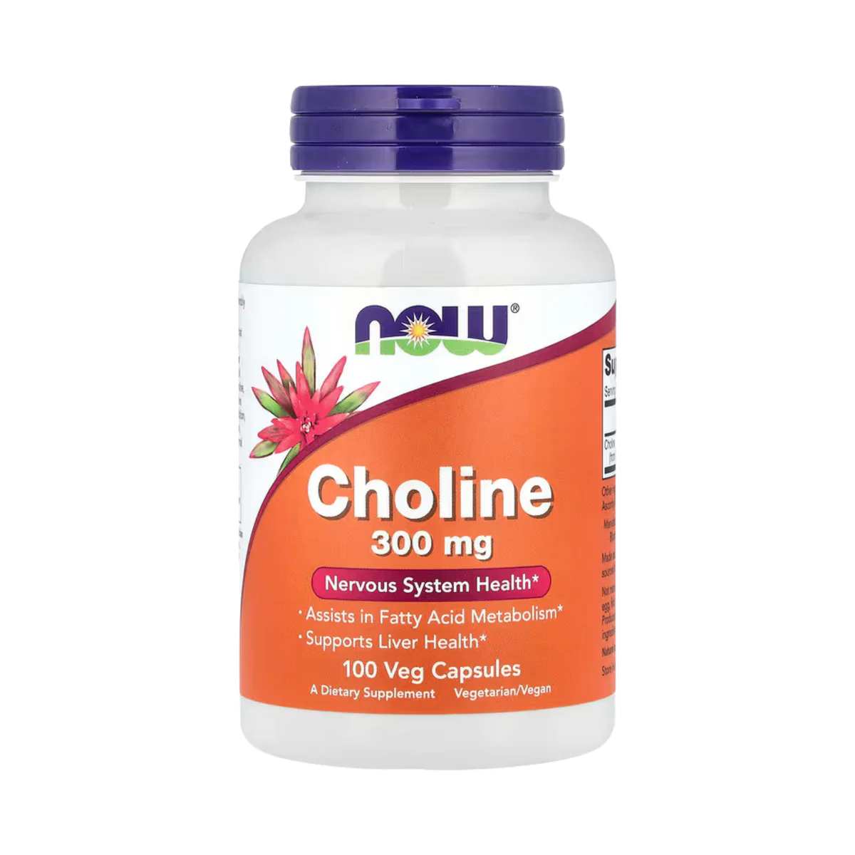 NOW Foods Choline 300 Mg, 100 Veg Capsules - Image 8