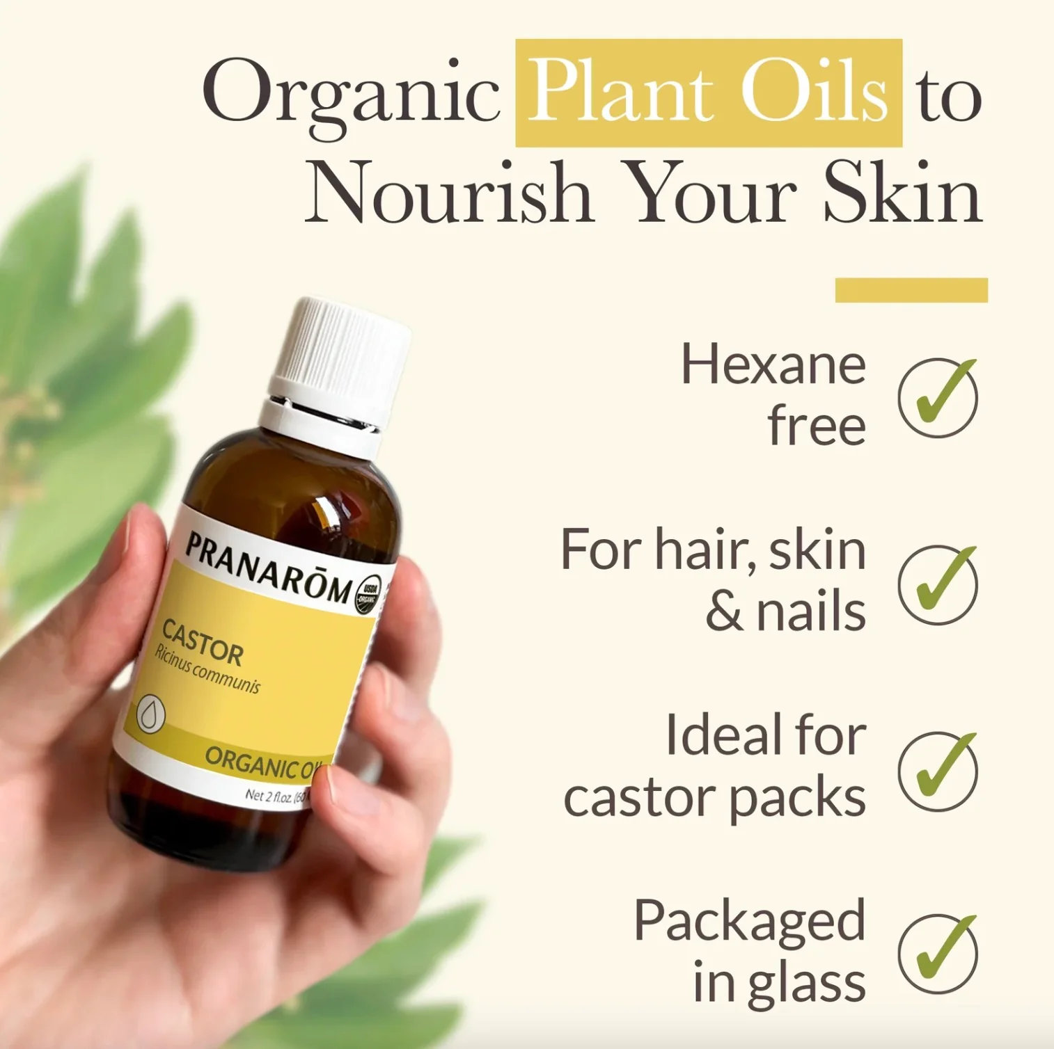Pranarom Organic Virgin Plant Oil Castor 2 Fl Oz - Image 2