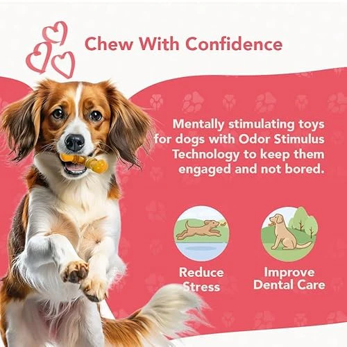 ReThink Pet Dental Munch Boomerang Bacon Flavor Scented Nylon Dog Chew Toy - Image 3