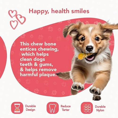 ReThink Pet Dental Munch Boomerang Bacon Flavor Scented Nylon Dog Chew Toy - Image 6