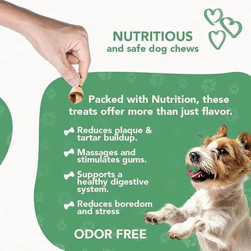 ReThink Pet Premium Dental Mix, All Natural Dog Treats with Dental Toothbrush, Honeycomb. - Image 4