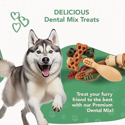 ReThink Pet Premium Dental Mix, All Natural Dog Treats with Dental Toothbrush, Honeycomb. - Image 6