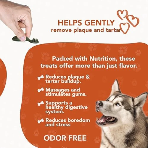 ReThink Pet Premium Dental Toothbrush Treats for Dogs - Image 4