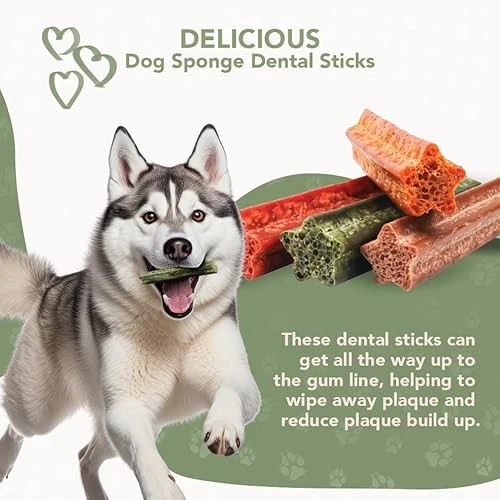 ReThink Pet Premium Sponge Dental Sticks for Dogs of All Ages, 10ct - Image 6