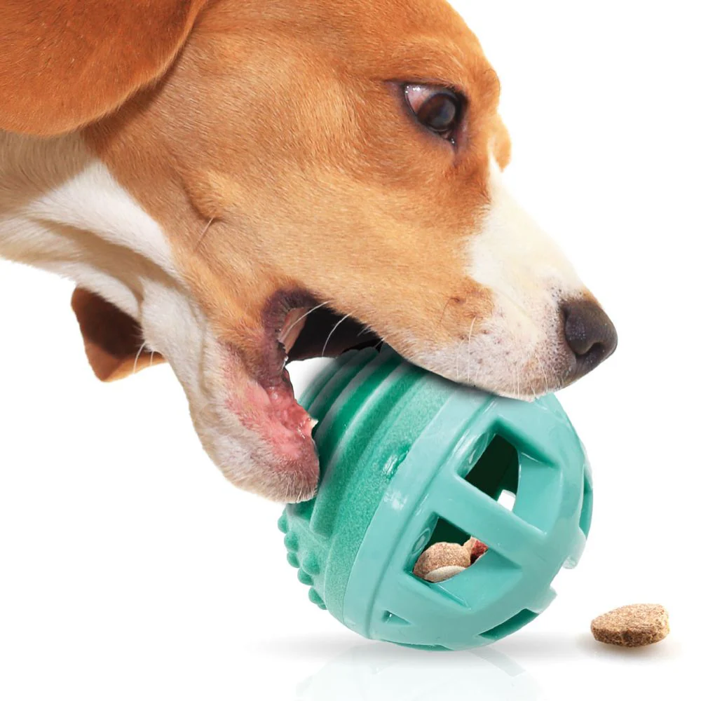 Rethink Pet Treat Dispenser Beef Flavored Ball