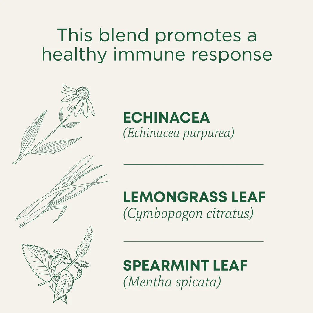 Traditional Medicinals Echinacea Plus Tea Bags 16ct - Image 2